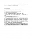 Teoría fáctica y teoria del caso