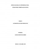 Alternativa de etapa productiva