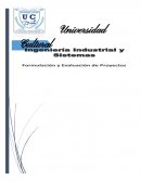 Formulacion y evaluacion de proyectos