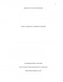 Ideas de un plan de negocio