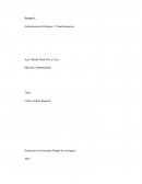 Administración Principio Y Transformación