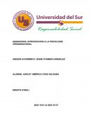 Introduccion a la psicología organizacional