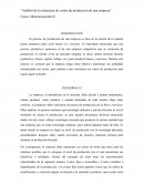 Análisis de los costos de producción de una empresa