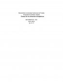 Ensayo de los alimentos transgénicos