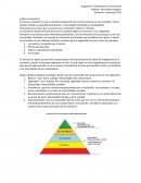 Introducción a la economía