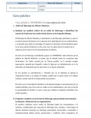 Caso práctico: INTERNEX SA una empresa de éxito