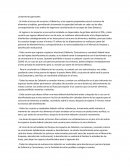 Cafetería y Concesiones. Lineamientos generales