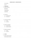 Borrador avance 3 – informe estadístico