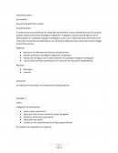 Eje medidas Secuencia de perímetro y áreas