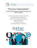 Análisis de modelos de negocios Franquicia & Cebo y Anzuelo