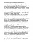 Ensayo “La convención sobre los Derechos del Niño”