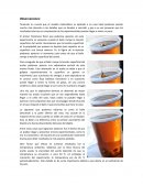 Observaciones y conclusión: fenómenos físicos