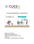 Ensayo sobre la actividad empresarial y profesional