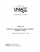 Análisis de la conducta del consumidor en pandemia