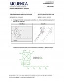 Reporte de Laboratorio: Concentración de Clorofila
