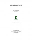 CIencias biomédicas, taller n° 1