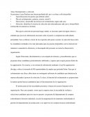 Metalúrgica Santa Rita S.A.