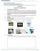 Práctica nro 2 Observación de microorganismos