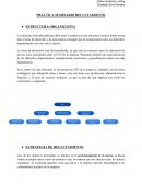 Práctica seminario reclutamiento