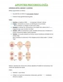 Diferencia entre la meiosis y la mitosis