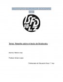 Reseña sobre el texto de Brailovsky