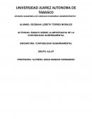 Ensayo sobre la importancia de contabilidad gubernamental