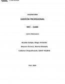 PA 03 Gestión profesional