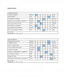 Matriz ESPECE Y MEFE ATENTO