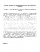 Los más buscados del mundo animal ¿Dónde estan las especies perdidas?