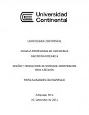 Diseño y produccion de sistemas hidroponicos para Arequipa