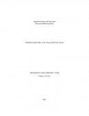 Desarrollo multimedia y web