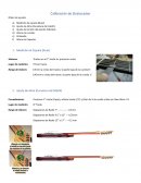 Calibración de Stratocaster