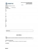 Implementaciòn de Nuevos Negocios. Caso: Floristerías Los GIRASOLES