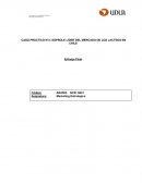 Caso práctico n°2: Soprole lider del mercado de los lacteos en Chile