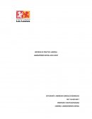 Informe de prácticas