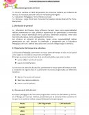 Plan de pedagógico medio menor