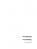 Margenes y perisferias esteticas