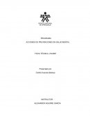 Acciones de prevención en salud mental, matriz conceptual