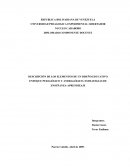 Enfoque pedagógico y andragógico, estrategias de enseñanza-aprendizaje
