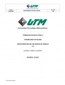 Características de los grupos de trabajo