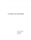 Célula y sus componentes