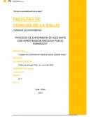 Proceso de enfermería en gestante con hipertensión inducida por el embarazo