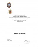 Origen del hombre