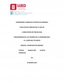 Ensayo "un metodo peligroso"