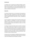 Técnicas de exposición libre