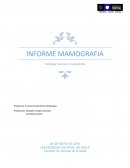 Patología mamaria y mamografía