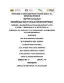 Asistente en la planeación y organización de la microempresa