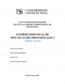 Formato de informe bimensual