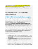 Introducción Cursos y Certificaciones Business Analysis