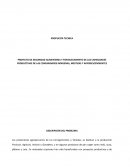 Proyecto de seguridad alimentaria y fortalecimiento de las capacidades productivas de las comunidades indigenas